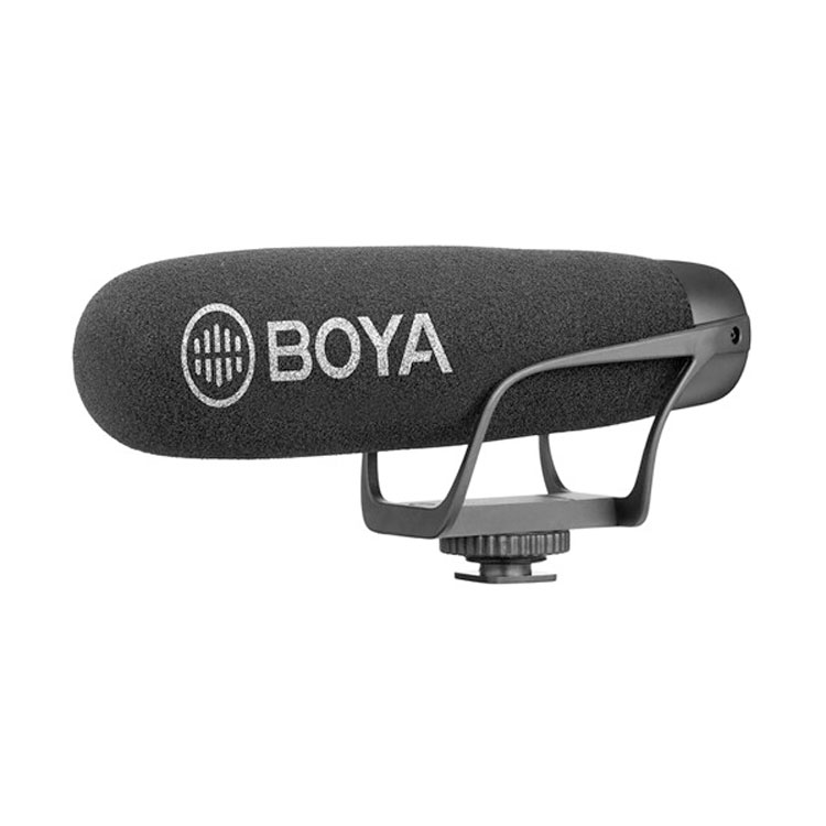 boya-1