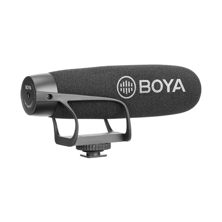boya-2